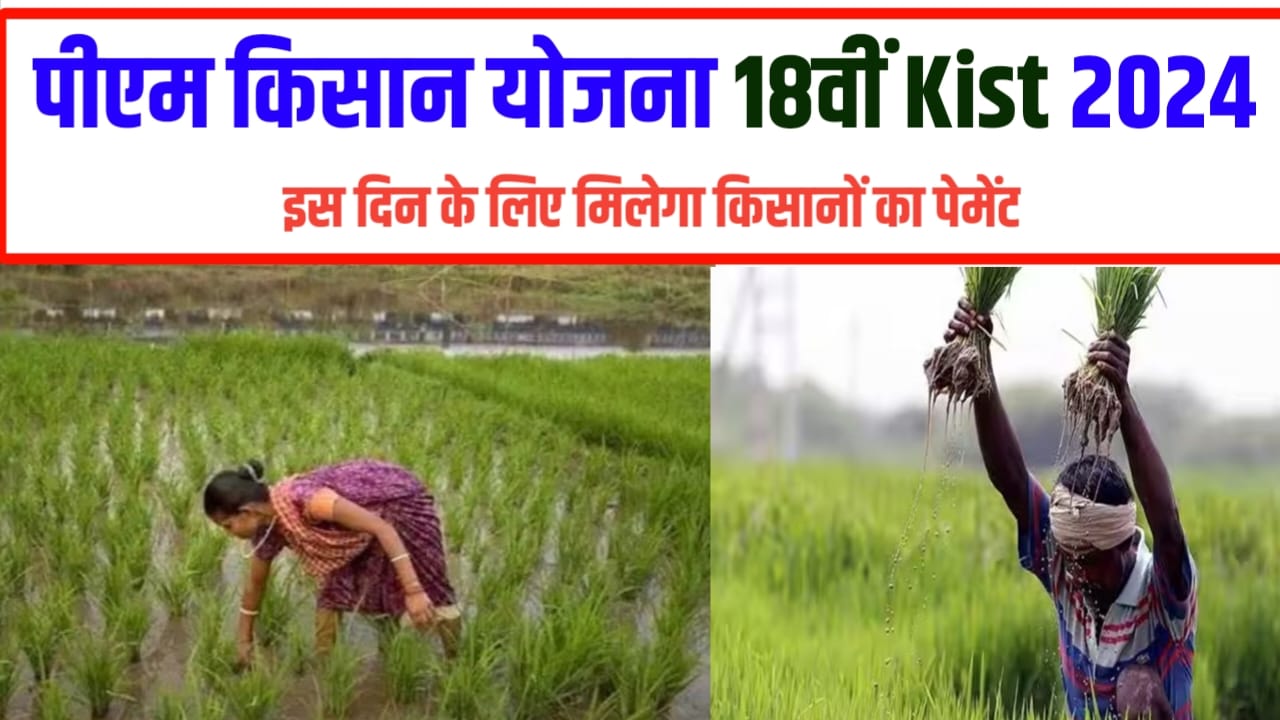 PM Kisan 18th installment 2024 kab Jari Kiya Jaega